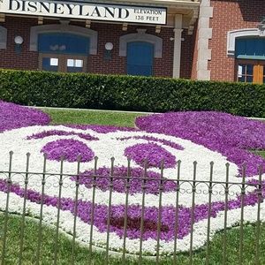 Meet your Posher, Perla